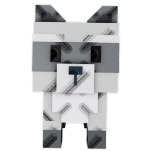Raccon